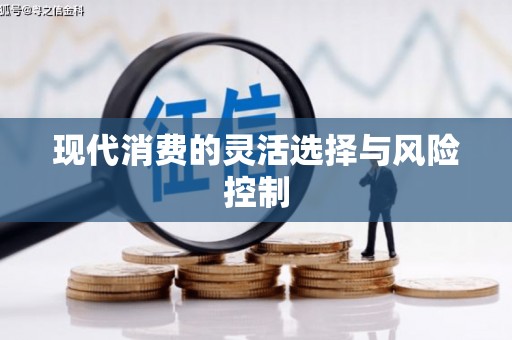 洪雅现代消费的灵活选择与风险控制
