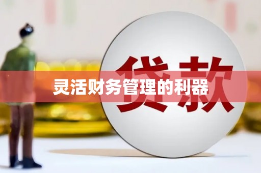 铁山灵活财务管理的利器