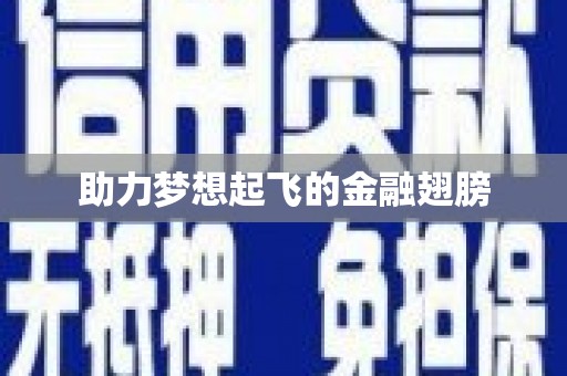 新安助力梦想起飞的金融翅膀