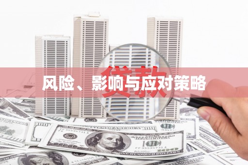 吴忠风险、影响与应对策略