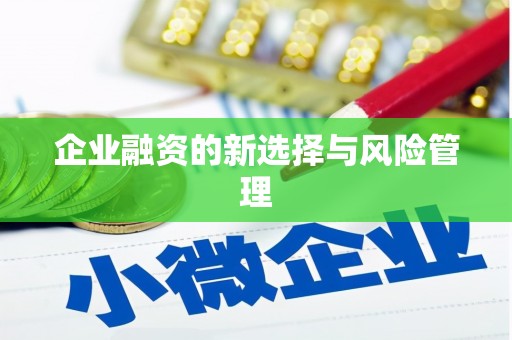 修文企业融资的新选择与风险管理