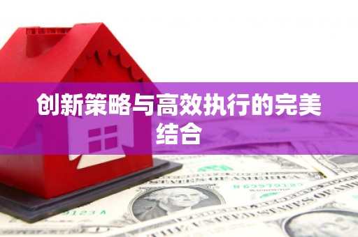土默特左旗创新策略与高效执行的完美结合