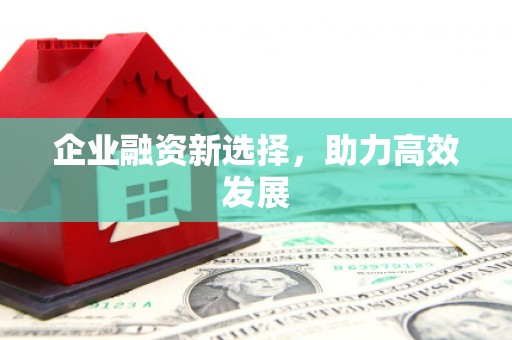 卑南企业融资新选择，助力高效发展