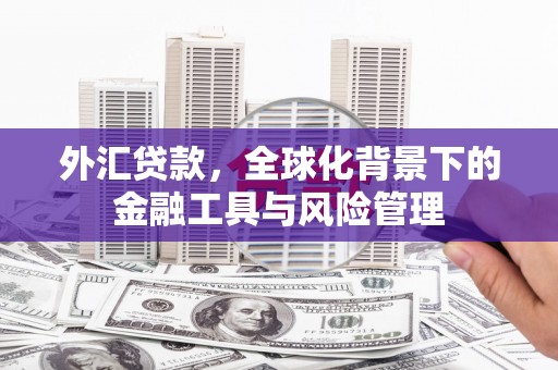 惠山外汇贷款，全球化背景下的金融工具与风险管理