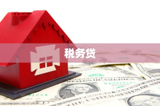 东阿税务贷